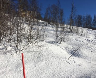 IMG_6486