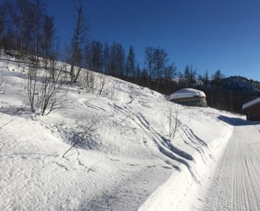 IMG_6487