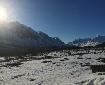 Storgalten Bilde10