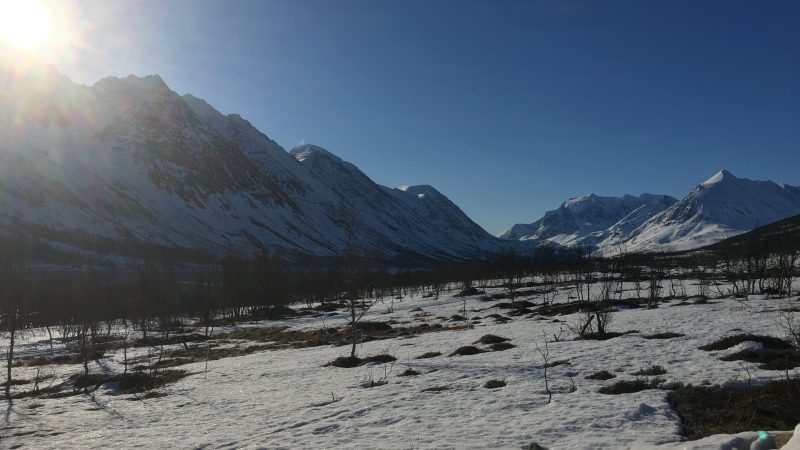 Storgalten Bilde10