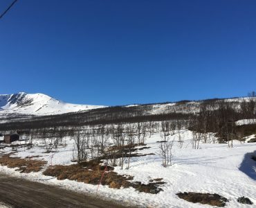 Storgalten Bilde 11