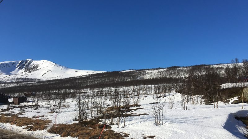 Storgalten Bilde 11
