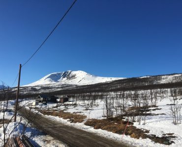 Storgalten Bilde 12