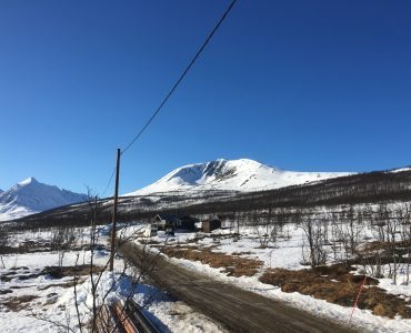 Storgalten Bilde 13