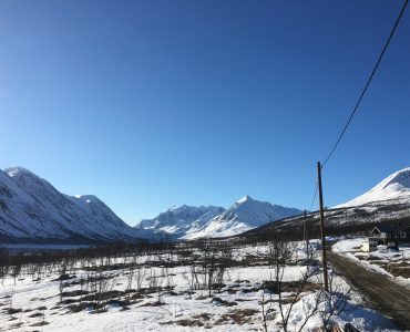 Storgalten Bilde 14