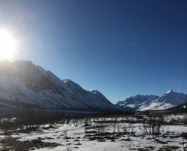 Storgalten Bilde 15