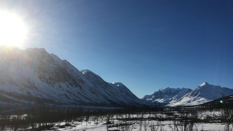 Storgalten Bilde 15