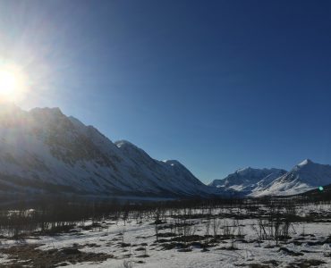 Storgalten Bilde16