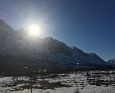 Storgalten Bilde 17