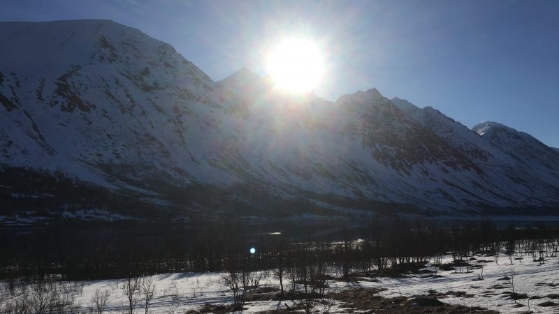 Storgalten Bilde 18