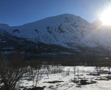 Storgalten Bilde 19