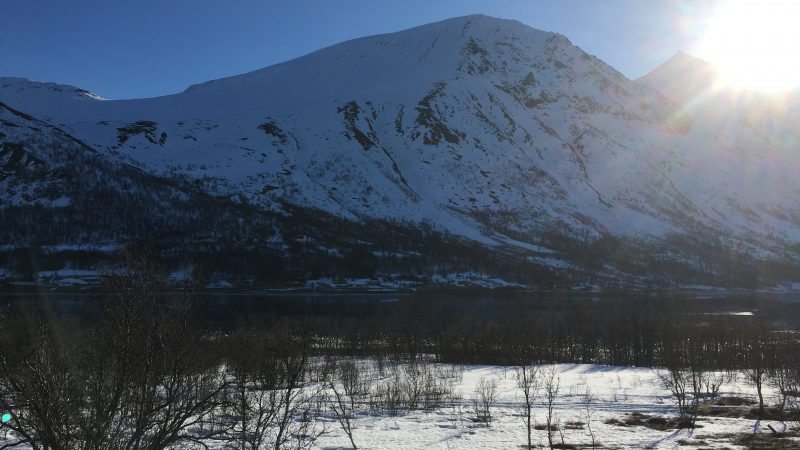 Storgalten Bilde 19