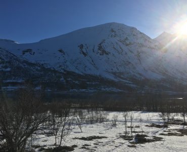 Storgalten Bilde 20