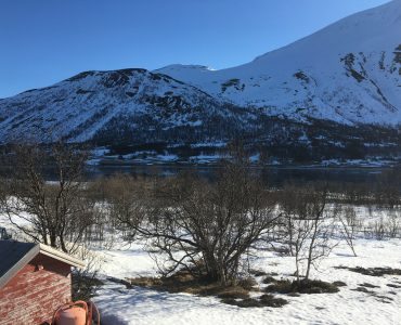 Storgalten Bilde 21