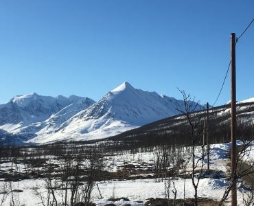 Storgalten Bilde 29