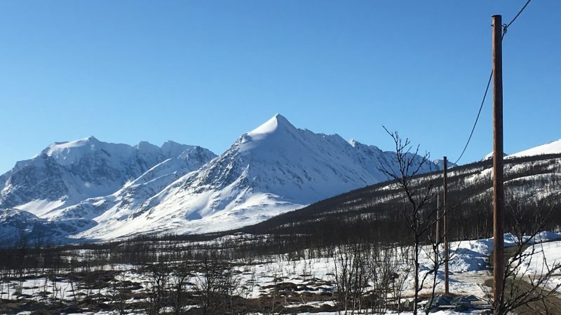 Storgalten Bilde 29