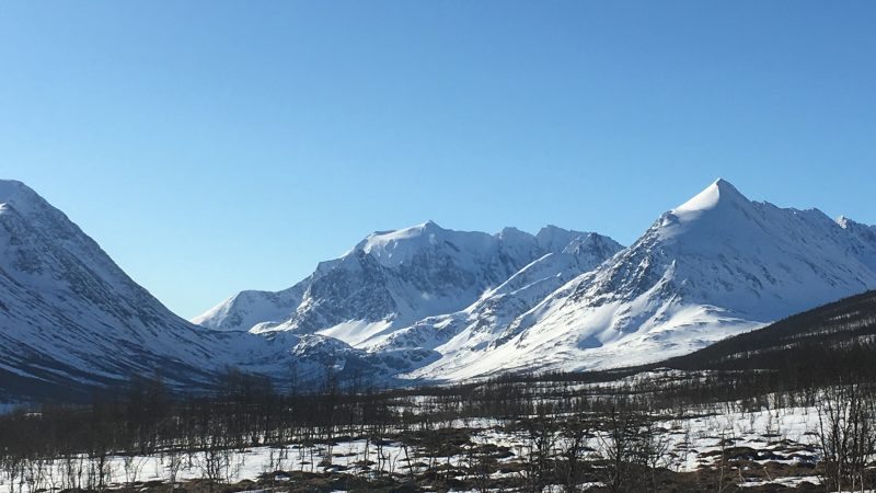 Storgalten Bilde 30