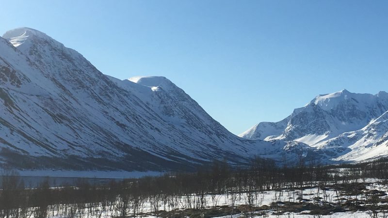 Storgalten Bilde 31