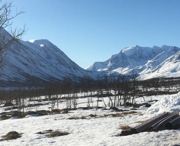 Storgalten Bilde 35