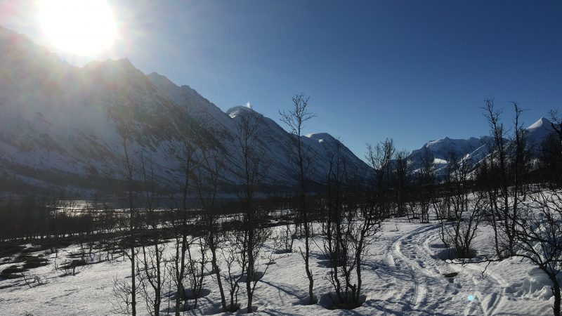 Storgalten Bilde 37
