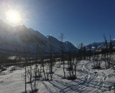 Storgalten Bilde 38