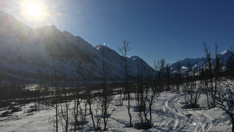 Storgalten Bilde 38