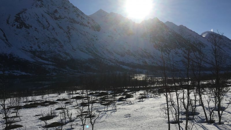 Storgalten Bilde 39