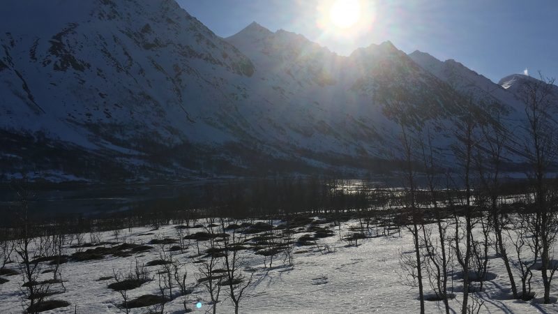 Storgalten Bilde 40