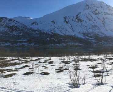 Storgalten Bilde 41