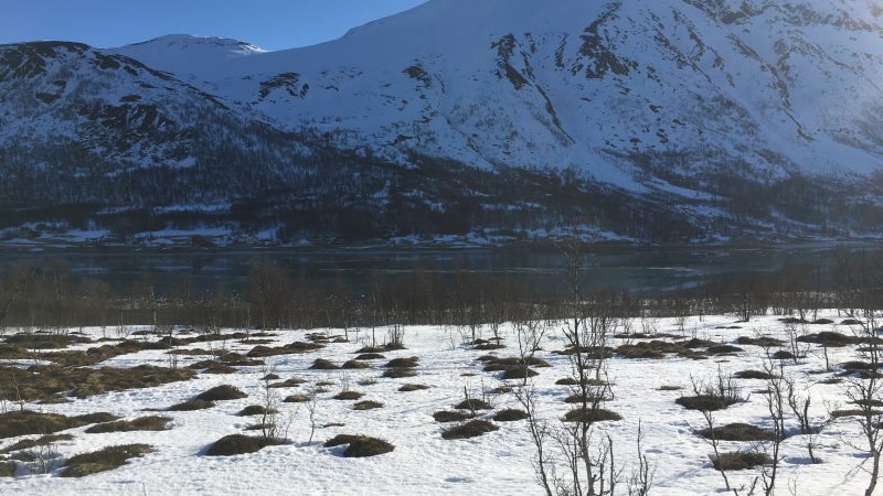 Storgalten Bilde 41