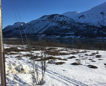 Storgalten Bilde 42