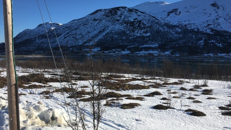 Storgalten Bilde 42