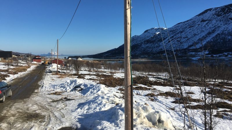 Storgalten Bilde 43