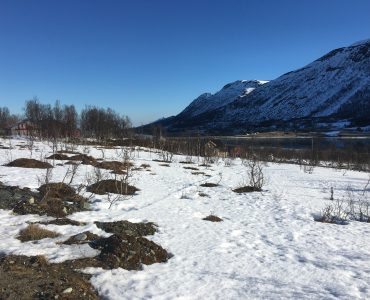 Storgalten Bilde 46