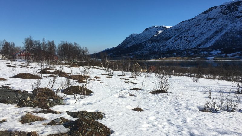 Storgalten Bilde 46