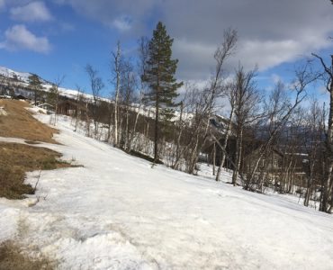 IMG_8779