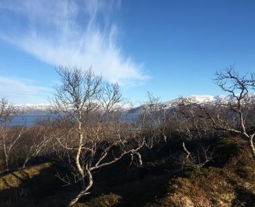 Rebbenesøya bilde 1
