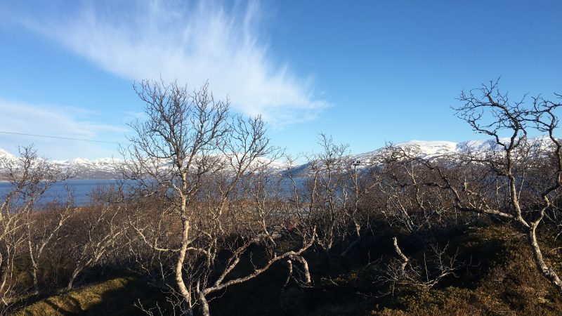 Rebbenesøya bilde 1