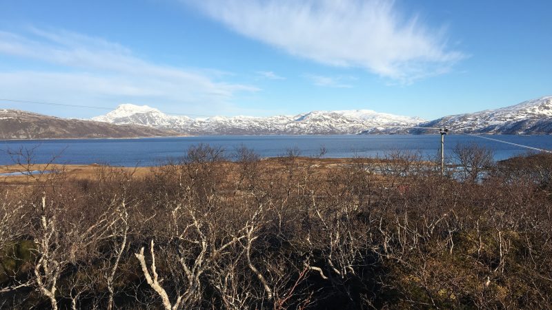 Rebbenesøya bilde 2