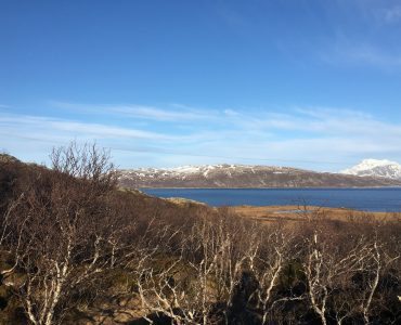 Rebbenesøya bilde 4