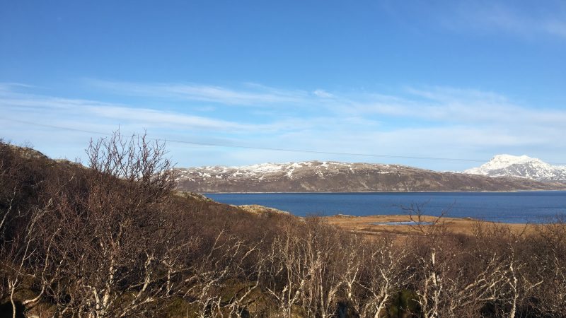 Rebbenesøya bilde 4