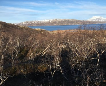 Rebbenesøya bilde 7
