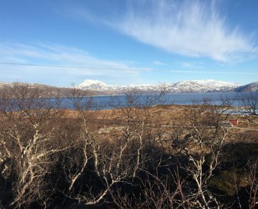 Rebbenesøya bilde 8