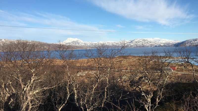 Rebbenesøya bilde 8