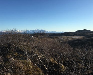 Rebbenesøya bilde 9