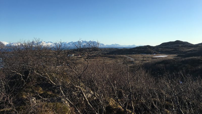 Rebbenesøya bilde 9