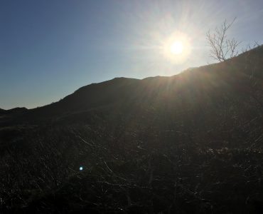 Rebbenesøya bilde 10