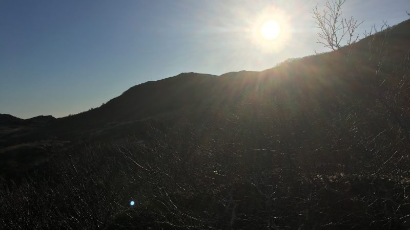 Rebbenesøya bilde 10