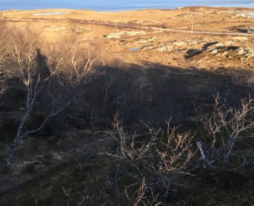 Rebbenesøya bilde 12