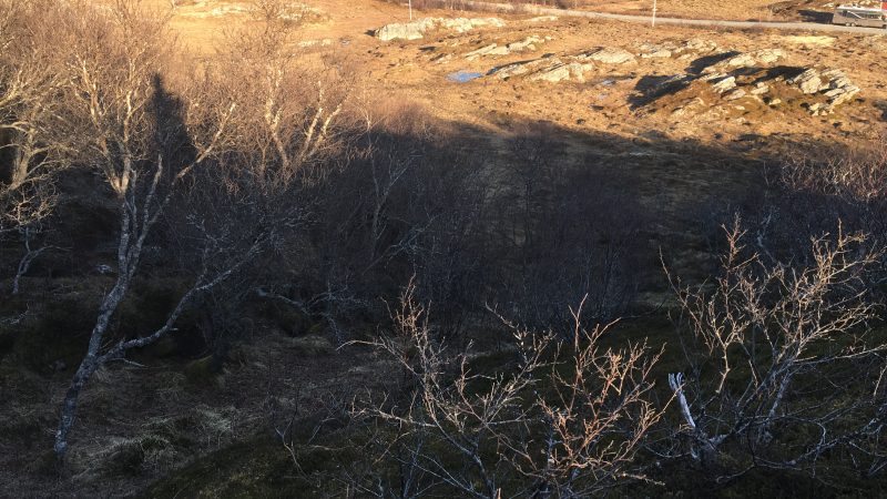 Rebbenesøya bilde 12